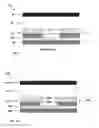 Fig. 02 - Electronic device