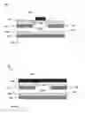 Fig. 05 - Electronic device
