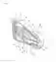 Fig. 10 - Earset