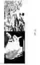 Fig. 16 - SENSING NON-SPEECH BODY SOUNDS