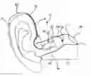 Fig. 01 - Hearing aid device and method for feedback reduction