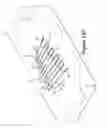 Fig. 34 - Articles of footwear with tensile strand elements