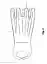 Fig. 03 - Device adapted to facilitate insertion of a hand into a glove