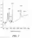 Fig. 09 - POLYMER-COATED THERAPEUTIC NANOPARTICLES