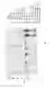 Fig. 02 - Beta-lactamases with improved properties for therapy