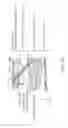 Fig. 09 - INDWELLING NEEDLE AND LIQUID INJECTION DEVICE