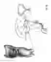 Fig. 07 - System and method for electrical stimulation of anorectal structures to treat urinary dysfunction