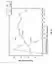 Fig. 28 - System and method for electrical stimulation of anorectal structures to treat urinary dysfunction