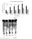 Fig. 04 - CONVERTING NANOPARTICLES IN OIL TO AQUEOUS SUSPENSIONS