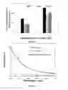 Fig. 08 - CONVERTING NANOPARTICLES IN OIL TO AQUEOUS SUSPENSIONS
