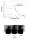 Fig. 09 - CONVERTING NANOPARTICLES IN OIL TO AQUEOUS SUSPENSIONS