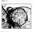 Fig. 02 - Method for manufacturing microcapsules