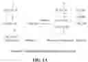 Fig. 02 - Heterogeneous catalyst for transesterification and method of preparing same
