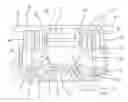 Fig. 01 - Pump for discharging contents