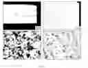 Fig. 49 - Edge formability in metallic alloys