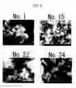 Fig. 04 - Method for producing silver particles, and silver particles produced by the method