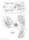 Fig. 07 - Chain tensioning device