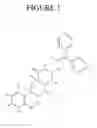 Fig. 02 - NOVEL METABOLITES OF VANOXERINE COMPOUNDS, PHARMACEUTICAL COMPOSITIONS CONTAINING THE SAME AND METHODS OF TERMINATING ACUTE EPISODES OF CARDIAC ARRHYTHMIA, RESTORING NORMAL SINUS RHYTHM, PREVENTING RECURRENCE OF CARDIAC ARRHYTHMIA AND MAINTAINING NORMAL SINUS RHYTHM IN MAMMALS