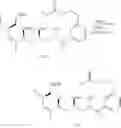 Fig. 45 - Peloruside analogs
