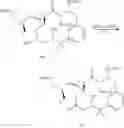 Fig. 71 - Peloruside analogs