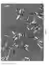 Fig. 09 - Particles of N-(5-cyano-4-((2-methoxyethyl)amino)pyridin-2-yl)-7-formyl-6-((4-methyl-2-oxopiperazin-1-yl)methyl)-3,4-dihydro-1,8-naphthyridine-1(2H)-carboxamide