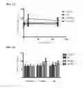 Fig. 02 - Compound having higher inhibitory activity on protein kinase G and preparation method thereof