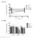 Fig. 05 - Compound having higher inhibitory activity on protein kinase G and preparation method thereof