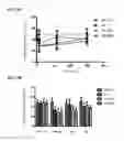 Fig. 06 - Compound having higher inhibitory activity on protein kinase G and preparation method thereof
