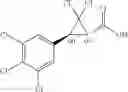 Fig. 1402 - Molecules having pesticidal utility, and intermediates, compositions, and processes, related thereto