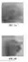 Fig. 03 - Pharmaceutical compositions comprising perillyl alcohol derivatives