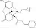 Fig. 28 - Opioid compounds and their uses