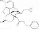 Fig. 46 - Opioid compounds and their uses