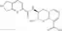 Fig. 162 - Beta-lactamase inhibitors