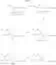 Fig. 24 - Beta-lactamase inhibitors