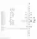 Fig. 07 - Compound for bone scanning and use thereof