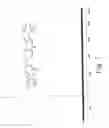Fig. 08 - Compound for bone scanning and use thereof