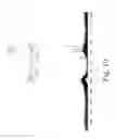 Fig. 11 - Compound for bone scanning and use thereof