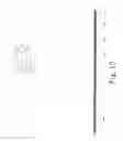 Fig. 16 - Compound for bone scanning and use thereof