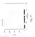 Fig. 28 - Compound for bone scanning and use thereof
