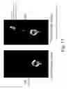 Fig. 34 - Compound for bone scanning and use thereof