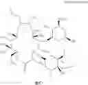 Fig. 08 - Macrolide compound