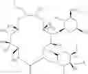 Fig. 09 - Macrolide compound