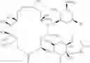 Fig. 15 - Macrolide compound