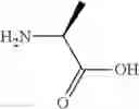 Fig. 124 - Derivatives of amphotericin B