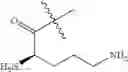 Fig. 203 - Derivatives of amphotericin B