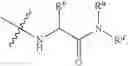Fig. 41 - Derivatives of amphotericin B
