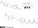 Fig. 13 - Gemcitabine derivatives, compositions comprising same and pharmaceutical applications thereof