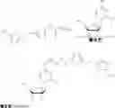 Fig. 14 - Gemcitabine derivatives, compositions comprising same and pharmaceutical applications thereof