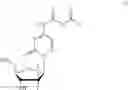 Fig. 24 - Gemcitabine derivatives, compositions comprising same and pharmaceutical applications thereof