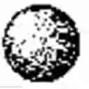 Fig. 05 - MODIFIED NUCLEIC ACID MOLECULES AND USES THEREOF